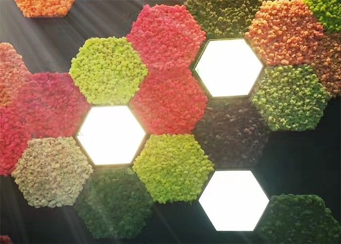 لوحات الطبيعة الطحلب 3D الصوتية للجدران للجدران النباتات الخضراء الديكور العفن والدليل